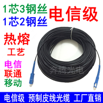 30 m leather wire fiber finished jumper indoor 2 steel wire leather cable cable finished 40 50 100