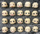 GSC Replacement Face DIY Accessories Big Clay November