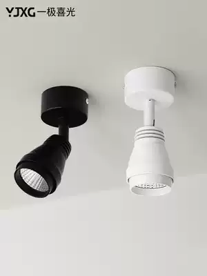 Spotlights Wall small spotlights Aisle corridor Foyer Entrance spotlights LED TV background wall Surface mounted downlight Spotlights