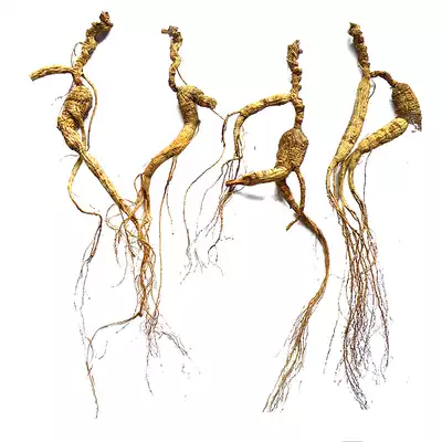 Xianlin Baishen forest ginseng pure seed goods mountain ginseng residual branch wild ginseng residual branch branch residual branch cost-effective specifications of all specifications