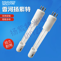 UVYZT water purification treatment T5 single-ended 4-needle four-needle UV sterilization lamp Quartz disinfection sewage purification UV lamp