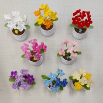 Pearl forget-me-not potted plant pure handmade wool product birthday gift car display real shot gift to best friend teacher