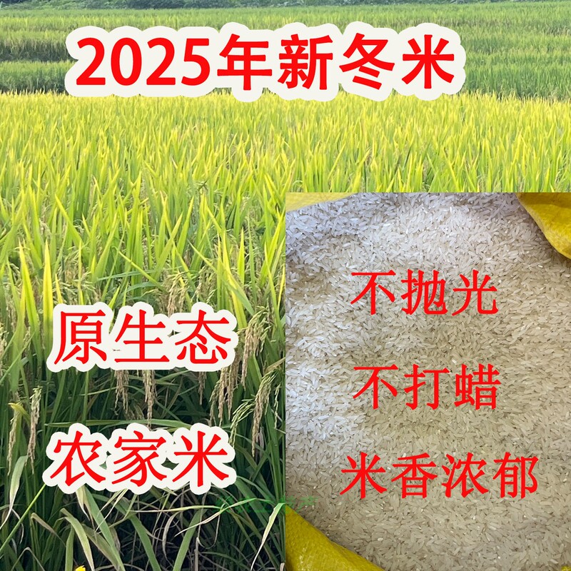 New Rice 2025 Farm-Grown Rice with Strong Aroma, Fresh and Clear, Yingde Winter Rice, Unpolished, Sticky and Soft, Late-Season Rice, Bulk Rice