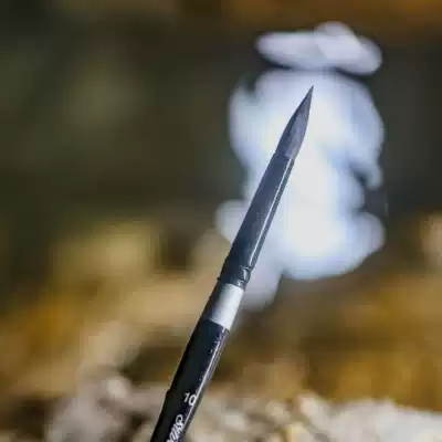 Black Swan 3000S watercolor pen Squirrel mixed hair watercolor pen 3008S 3009S 3100ST Full series