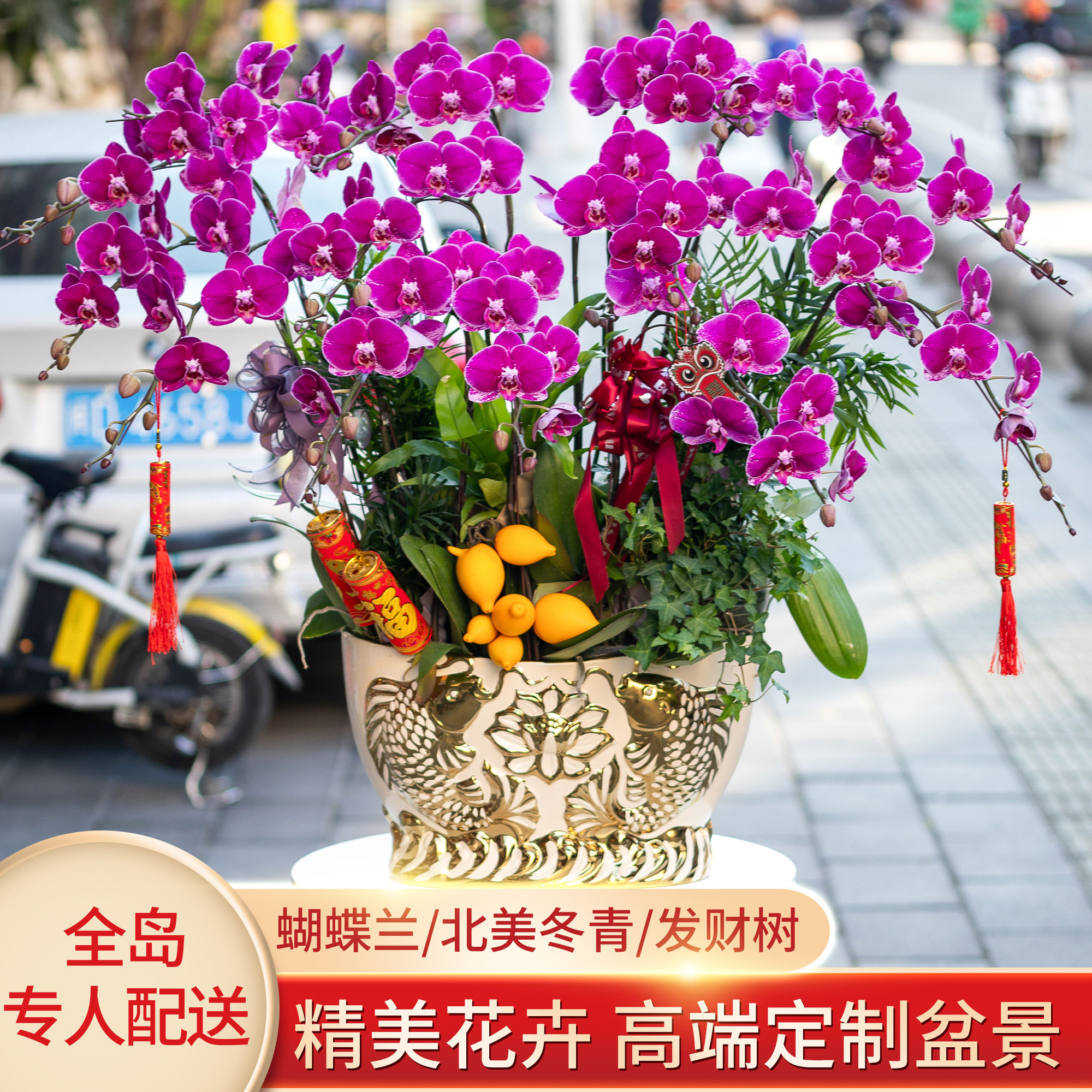 Xiamen Butterfly Orange Pot Flower delivery Town Green Plant Open Joe Moving Company Elder Customer Flower Shop