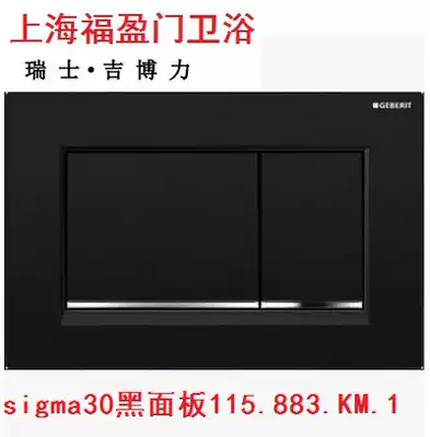 Geberi Sigma30 black panel with concealed water tank 115 883 Km 1