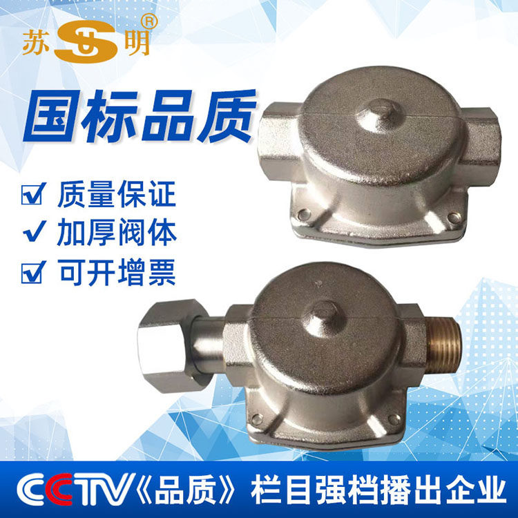 Su Ming brand household wall-mounted boiler gas liquefied gas water heater filter all copper gas filter