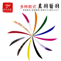 Alligarch Arrow True Feather Carbon Arrow plums pure carbon Arrow glass Arrow aluminum Arrow 5-inch Water Drop Shield plums