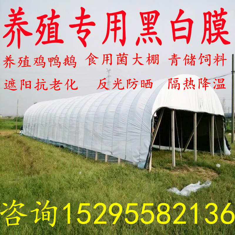 Thicken black and white film sunscreen sunshade heat insulation cooling chicken breeding duck breeding greenhouse membrane edible mushroom greenhouse green white film