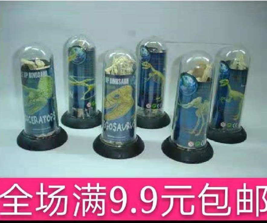 Special price 4D assembled dinosaur model parquet dinosaur fossil skeleton model 6 dinosaur skeletal long cylinder