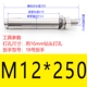 M12*250 (1)