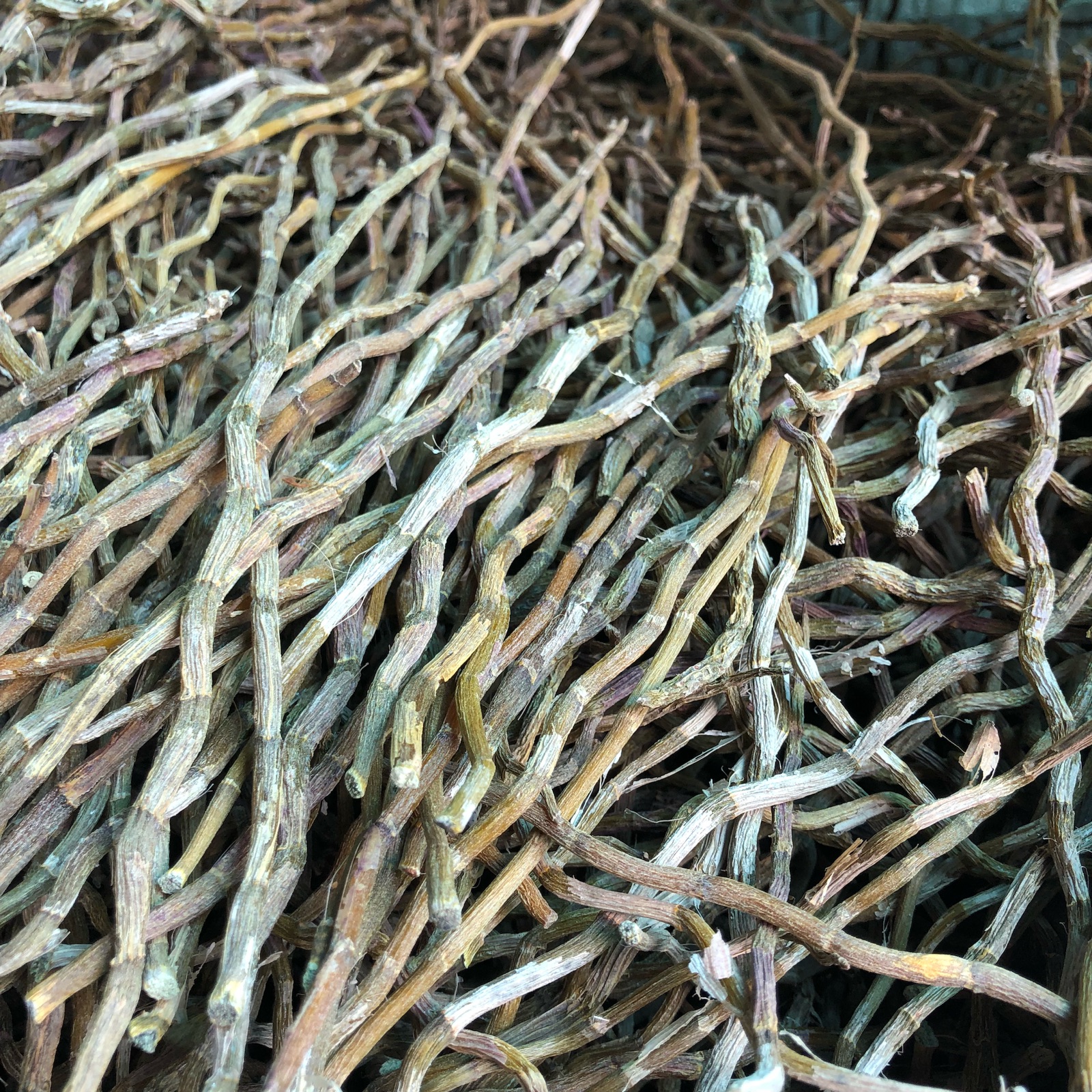 Yandang Mountain fresh Dendrobium Dendrobium dry strips straight imitation tree strips Non-Huoshan Fengdou roasted strips