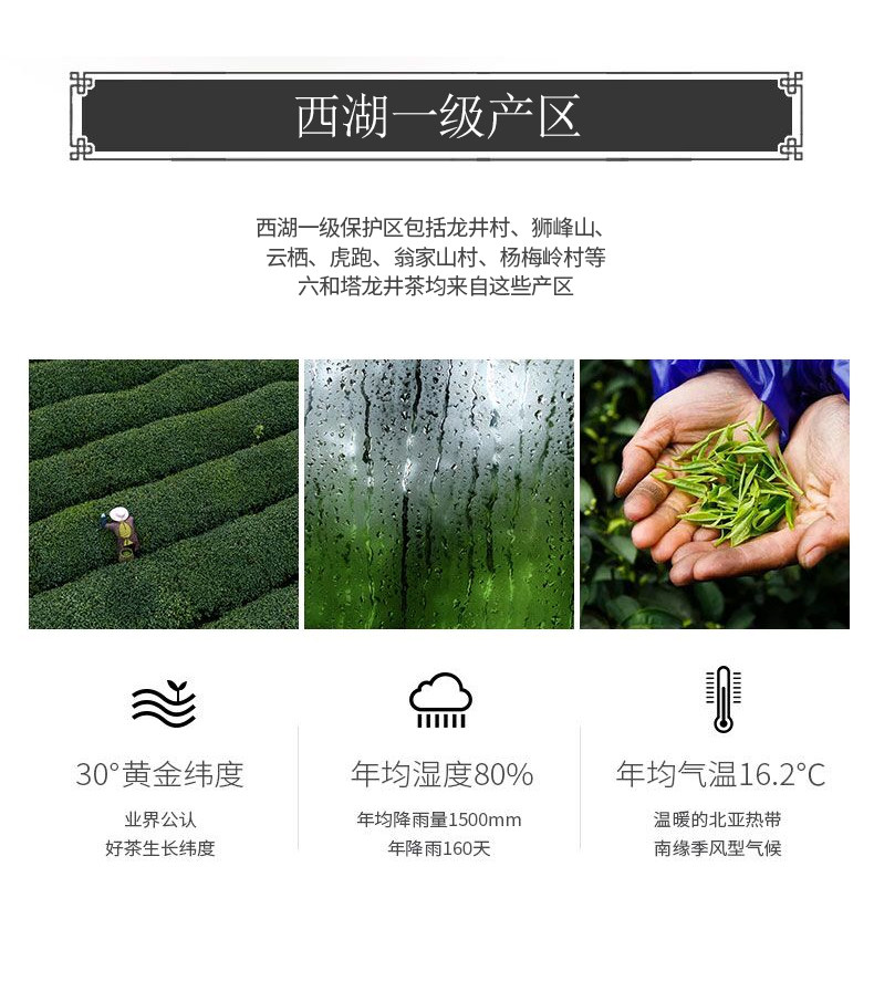 六和塔 19年新茶 明前特级 西湖龙井 200g 礼盒装 图8