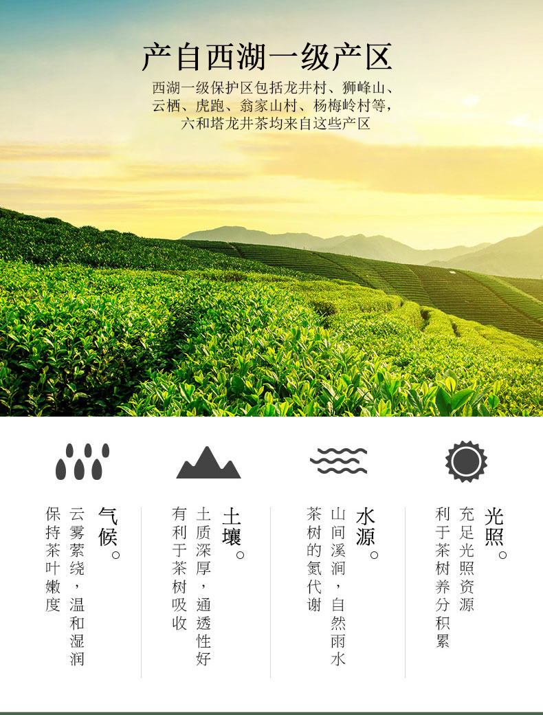 六和塔 2020新茶 明前特级 西湖龙井 200g 图2