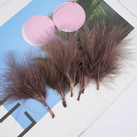 Около 50 штук черного кофейного бархата.