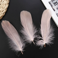 50 цвет шампанского