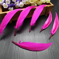 Красная роза