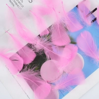 Около 100 розовых темно -розовых