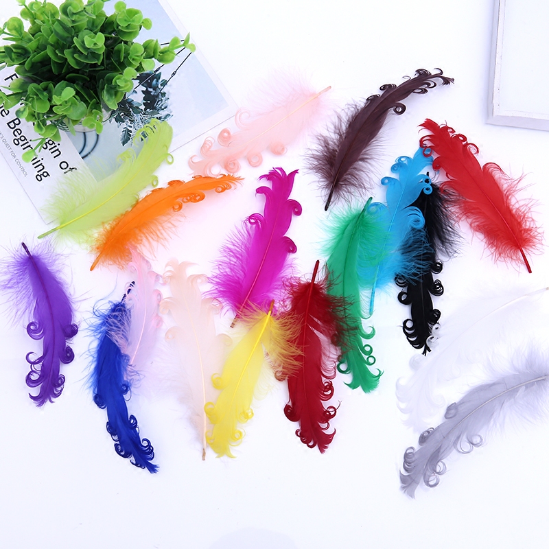 Handcrafted Rolls Colored Feather accessories Accessories Clothing Accessories 17 Color Choose 10 Price