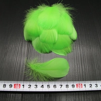 Около 100 зеленых фруктов зеленые около 100 корней и 1 упаковка