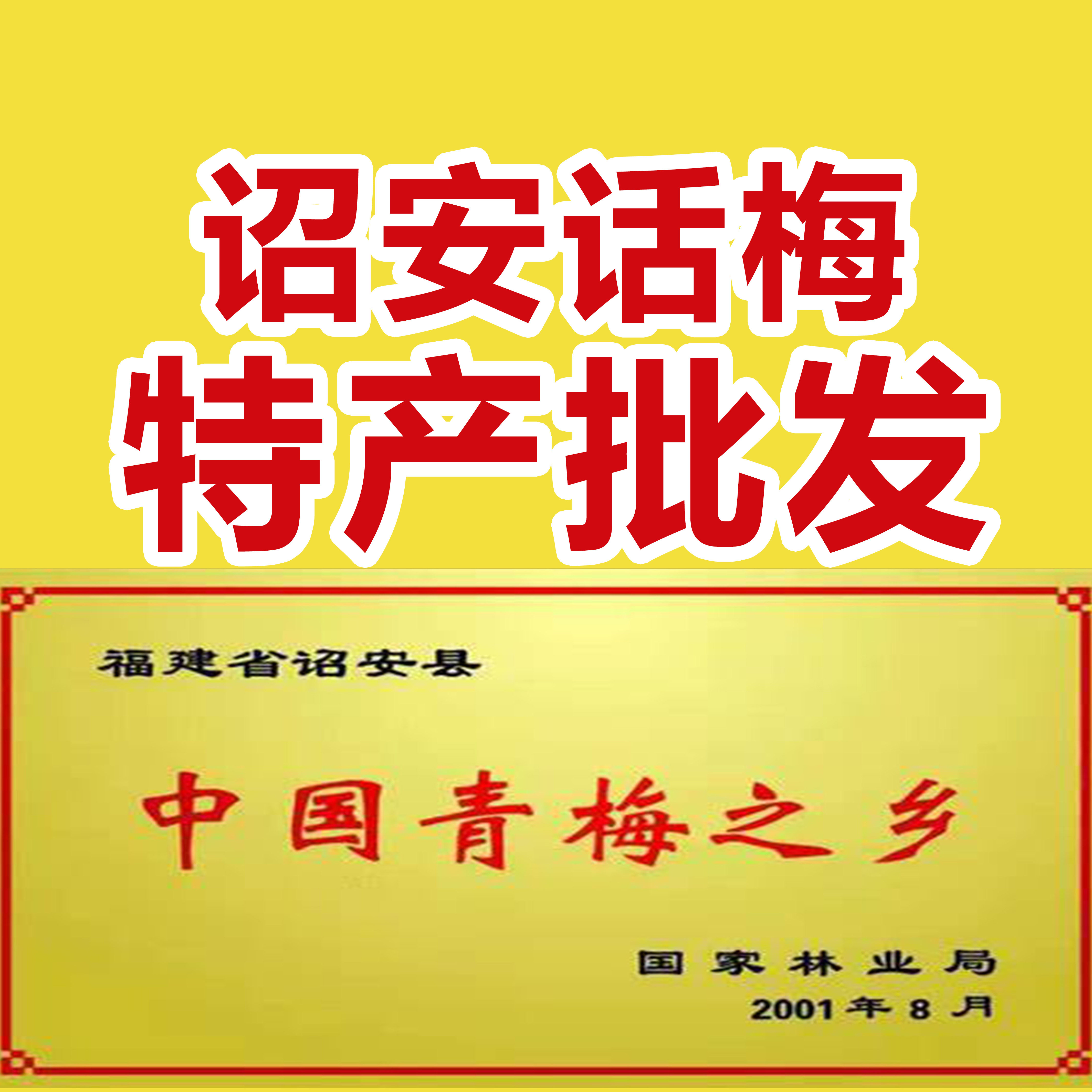 诏安话梅厂家批发对接的LOGO