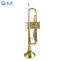 Starsea trumpet B tune XT-120 Small number instrument Cowage Atlantic Pipe Instrument XT-200 310 Star Sea Short No. 100