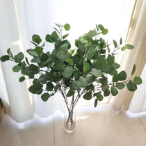 Emulated plant eucalyptus leaves Eugali 5 head long branches pecuniary leaves flower arrangement accessories home furnishing plant wall false flowers