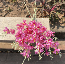 Simulation Jade Orchid Family Residence Decoration Pendulum Wedding Flowers Wedding silk flowers Fun and small jade Orchid Wedding Flowers Background Reed Platoon Flowers