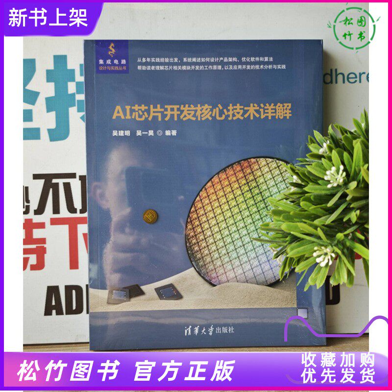 📚揭秘2024芯片革命！《AI芯片开发核心技术详解》带你走进集成电路设计的世界🚀-计算机安全与密码学-淘宝好物网