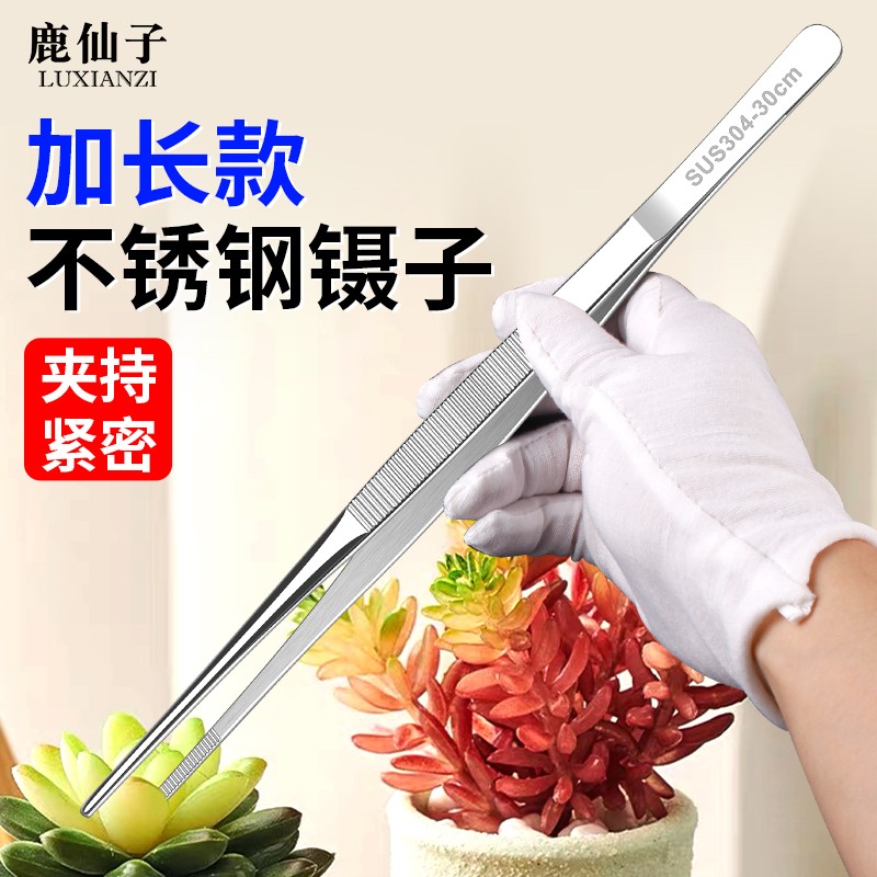 多肉专用长镊子花多多园艺工具加长不锈钢圆头夹子枯叶夹水草种花