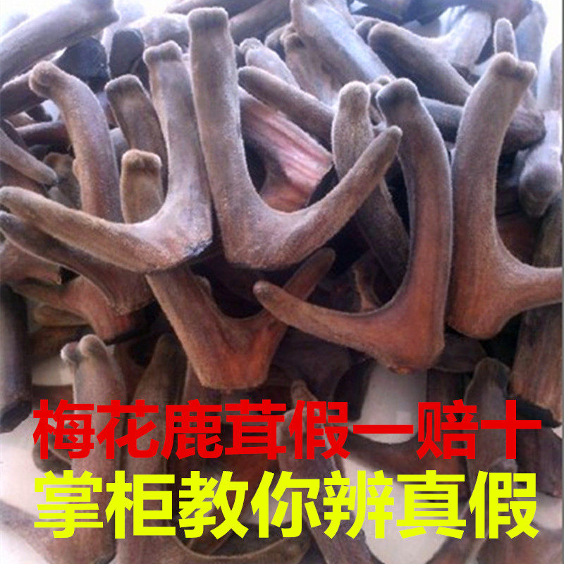 Jilin plum deer antler fresh deer antler head stubble dried velvet antler two bars velvet antler velvet antler with Blood Wine 100g