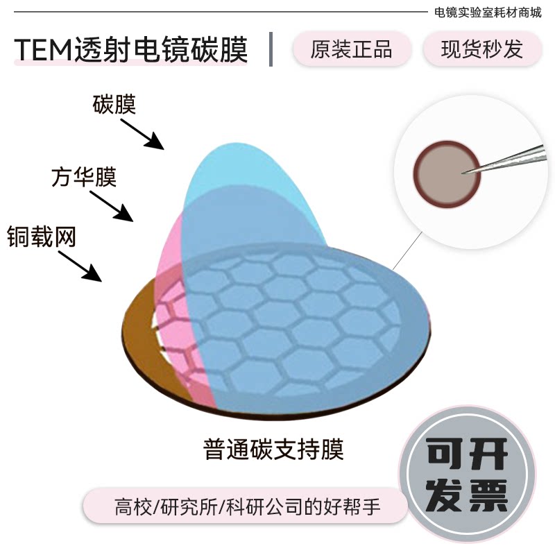 TEM透射电镜国产载网普通超薄碳膜200目400目钼网镍网微栅支持膜