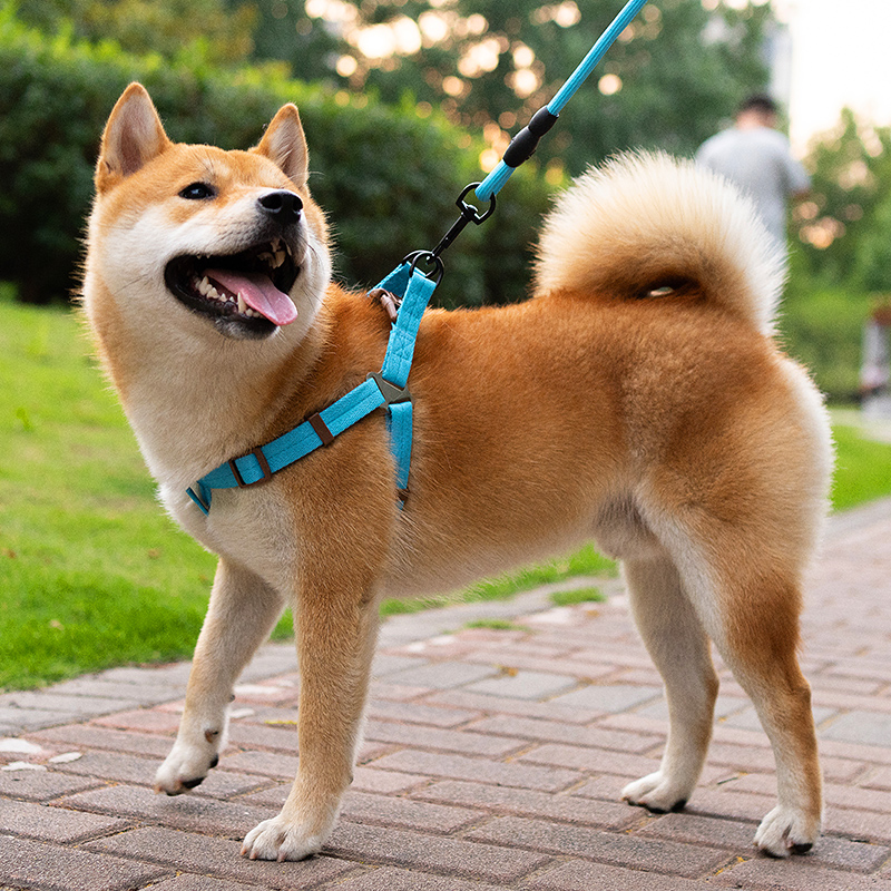 Walking Dog Traction Rope Kennel Vest Style Gold Wool Puppies Small And Medium Dog Fou Kirketeddy Pet Dog Rope