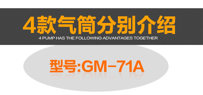 Pompe à vélo GIYO - Ref 2387303 Image 21