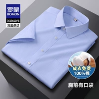 DDPB голубые полосы [короткие рукава с карманами]