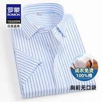 DDPB белый фон с синими полосками [короткие рукава без карманов]