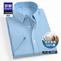 DDPB зеленая полоска [короткие рукава с карманами]