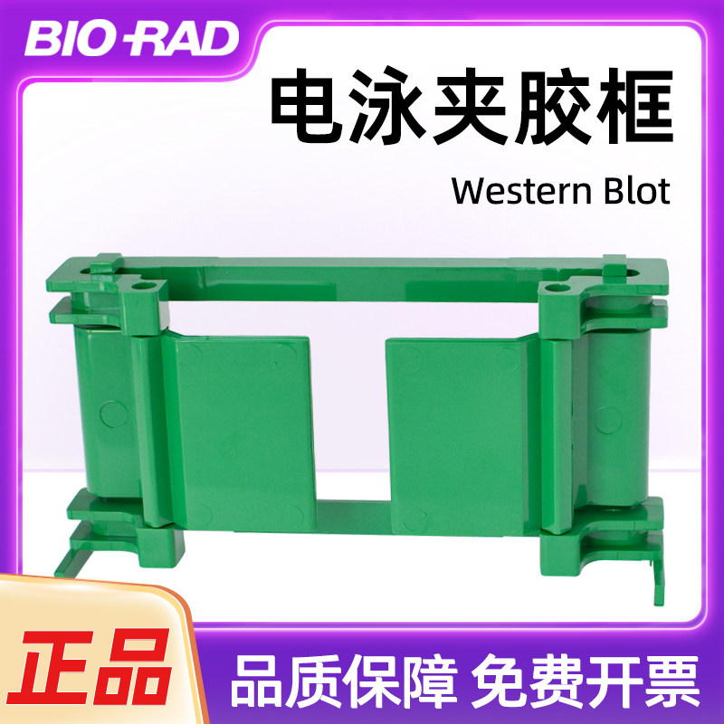 伯乐bio-radwb制胶架westen垂直电泳制胶框夹胶框制胶支架1653304