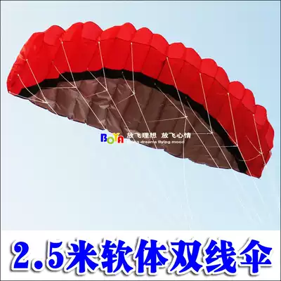 Weifang kite 2 5 m soft double line umbrella stunt kite four-color optional to send a full set of tools BY46