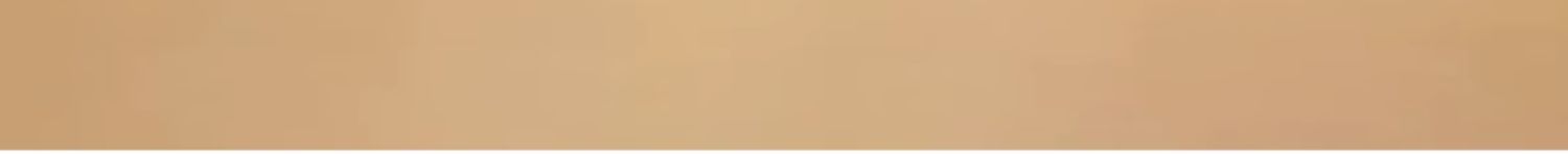 【中國直郵】八馬茶葉 新品江門新會 小青柑福鼎白茶壽眉 36g