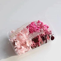 Голубой картинка цвет сухой цветок 12