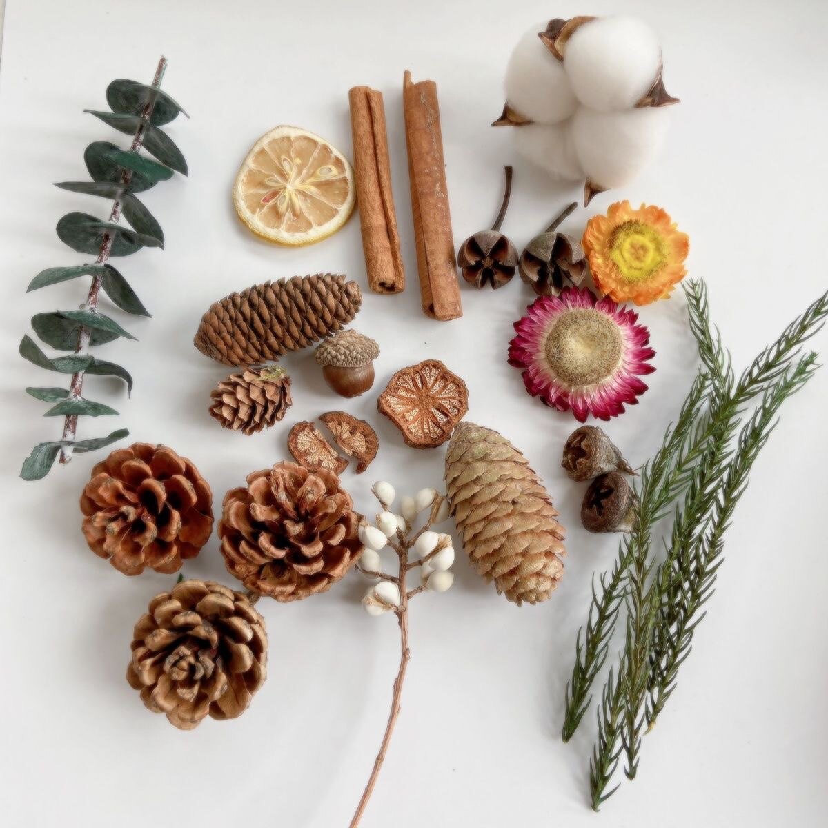 Natural Pine Nuts Decorations Pendulum Loose Tanta Yonnais Dried Flowers Diy Handmade Christmas Flower Ring Material Bag Cotton-Taobao