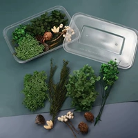 Цветы ивы пружина → сухие цветы