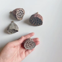 Флуоресцентный зеленый → 3-5 см3 оригинального лотоса Puff