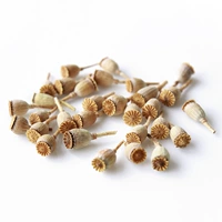 Yu Meiren's Flower Head 30