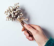 Nordic ins small ginkgo dried flower mushroom grass natural immortal white bean tallow shooting props rattan ring decoration diy