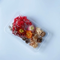 Великолепные красочные → сухие цветы