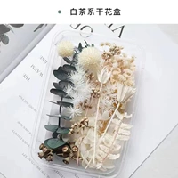 Серебряный цвет цвета сухой цветок 6