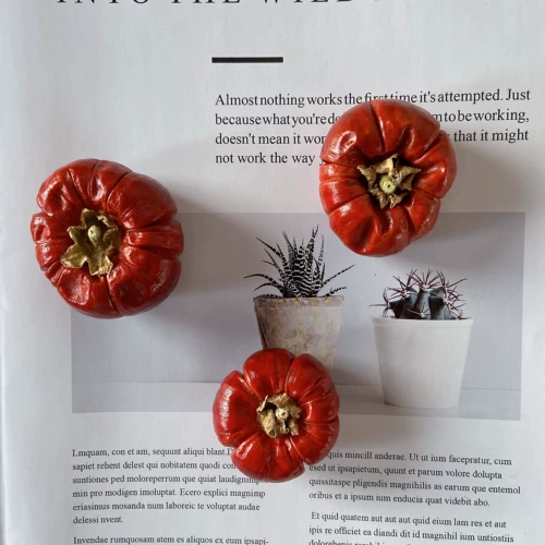 Высушенные цветы и маленькие тыква на натуральные растения натуральные растения мини -сушеные фрукты Праздничная атмосфера рождественские украшения