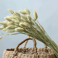 10 коричневого → 10 красавиц травы